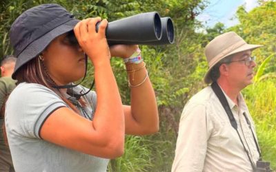 Miranda destaca en la participación nacional de avistadores en el Global Big Day 2026
