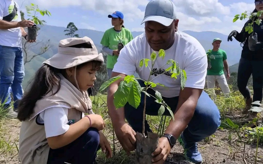 Plantan mil árboles en San Pedro de los Altos