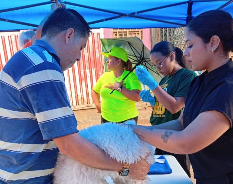 Miranda supera las 60 mil atenciones veterinarias gratuitas durante 2026