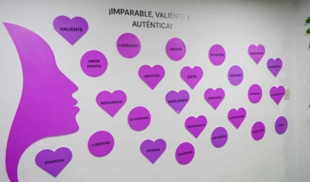 Gobierno de Miranda lanza App Violeta Red para combatir violencia de género