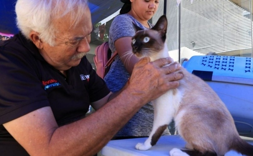 Miranda supera las 72 mil atenciones veterinarias durante el primer semestre de 2026