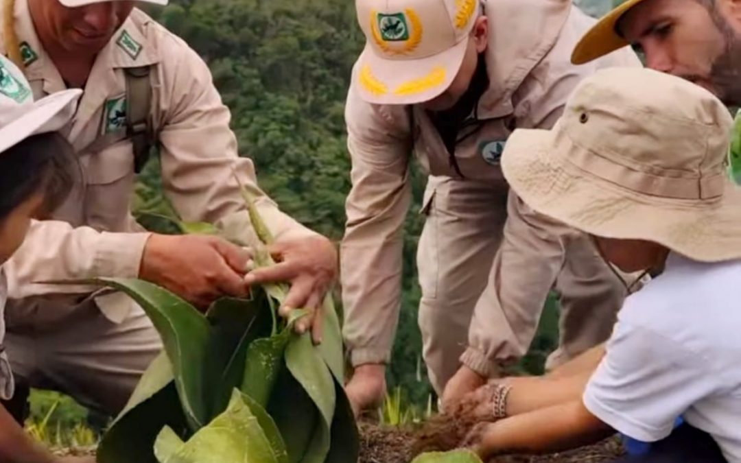 Carrizal suma 500 plantas al Plan Nacional de Reforestación Chuquisaca 2026