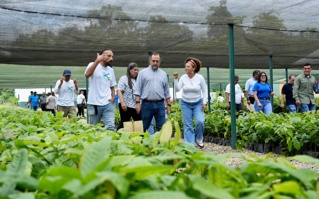 Miranda impulsa su producción de cacao con 7.540 plantas de alta genética