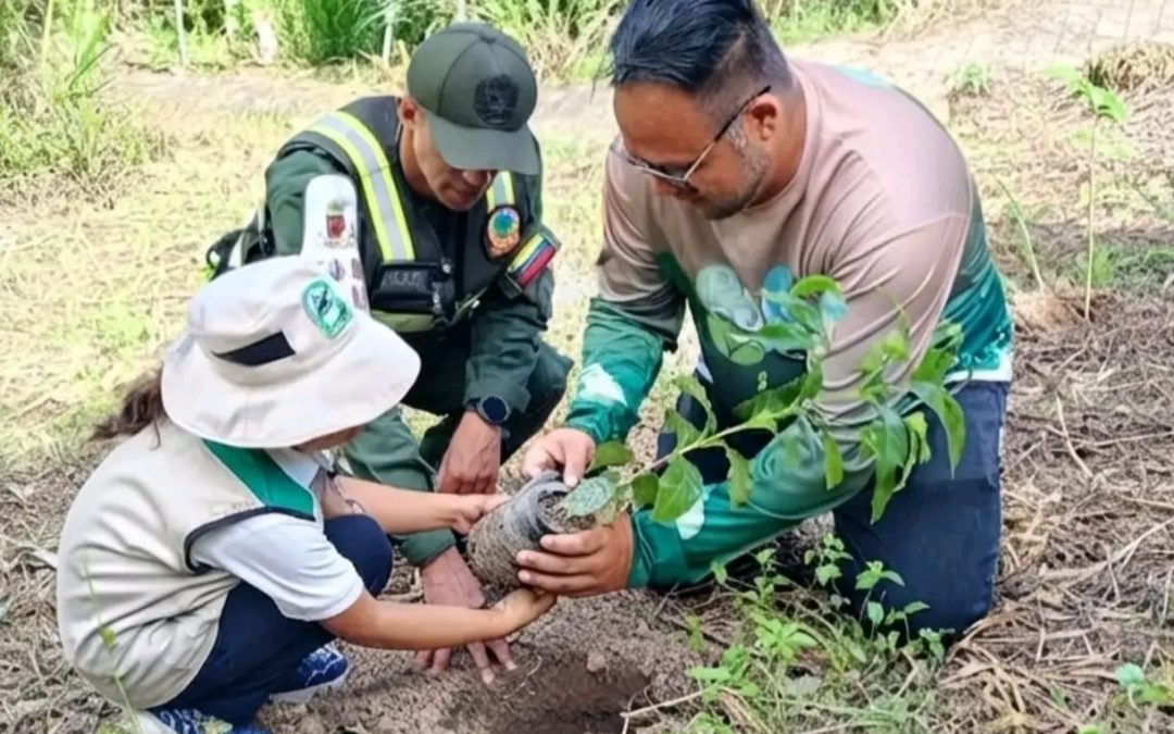 Reforestaron 200 plantas en el sector Mataruca de Los Teques