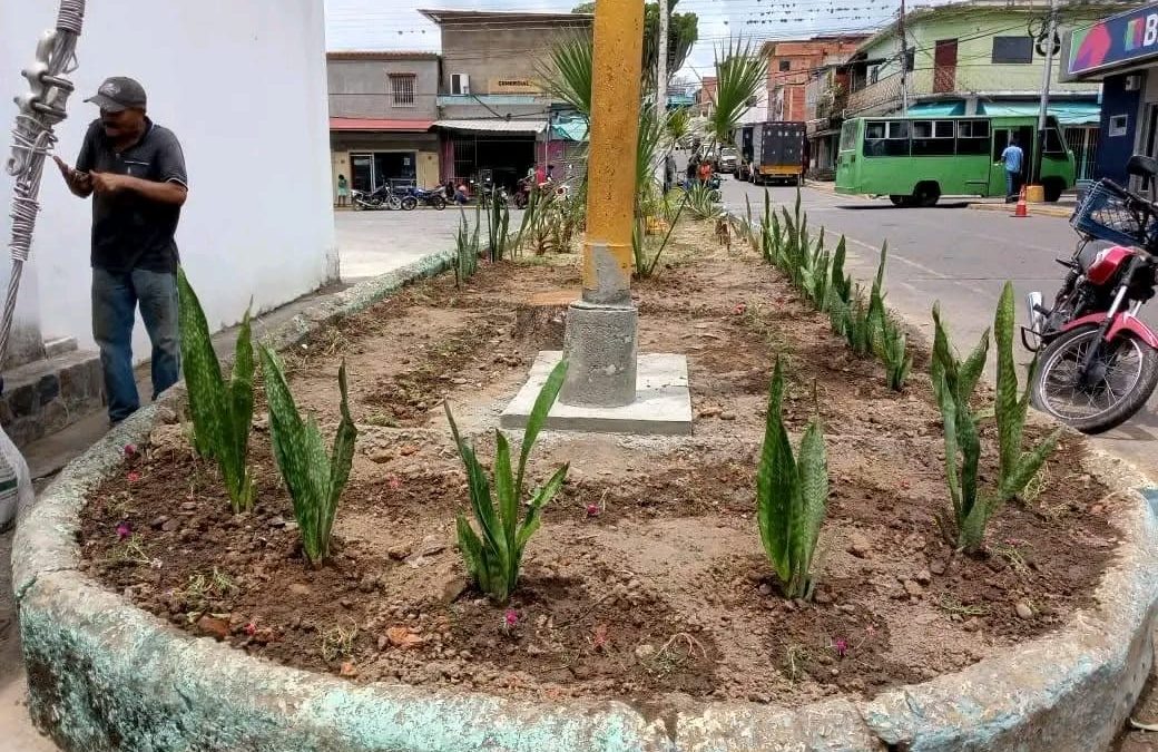 Avanza siembra de plantas ornamentales en Cúpira