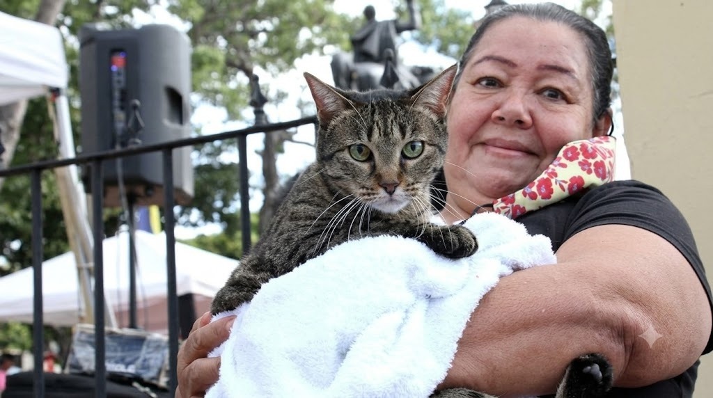 Miranda supera los 84 mil animales atendidos durante el primer semestre de 2026