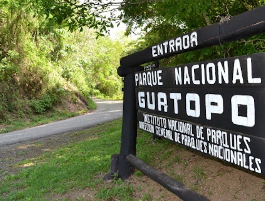 Carrera 10K Corre Guatopo recolectará donaciones para campamentos transitorios mirandinos