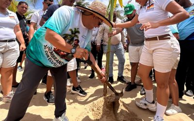 Celebran Día Mundial de las Playas en Barlovento con siembra de palmeras y concienciación