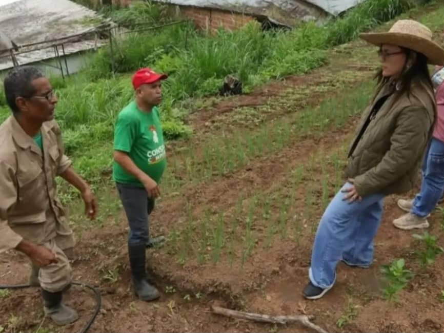 Inició siembra de 12.000 plántulas de vegetales en Carrizal